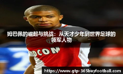 365买球官网